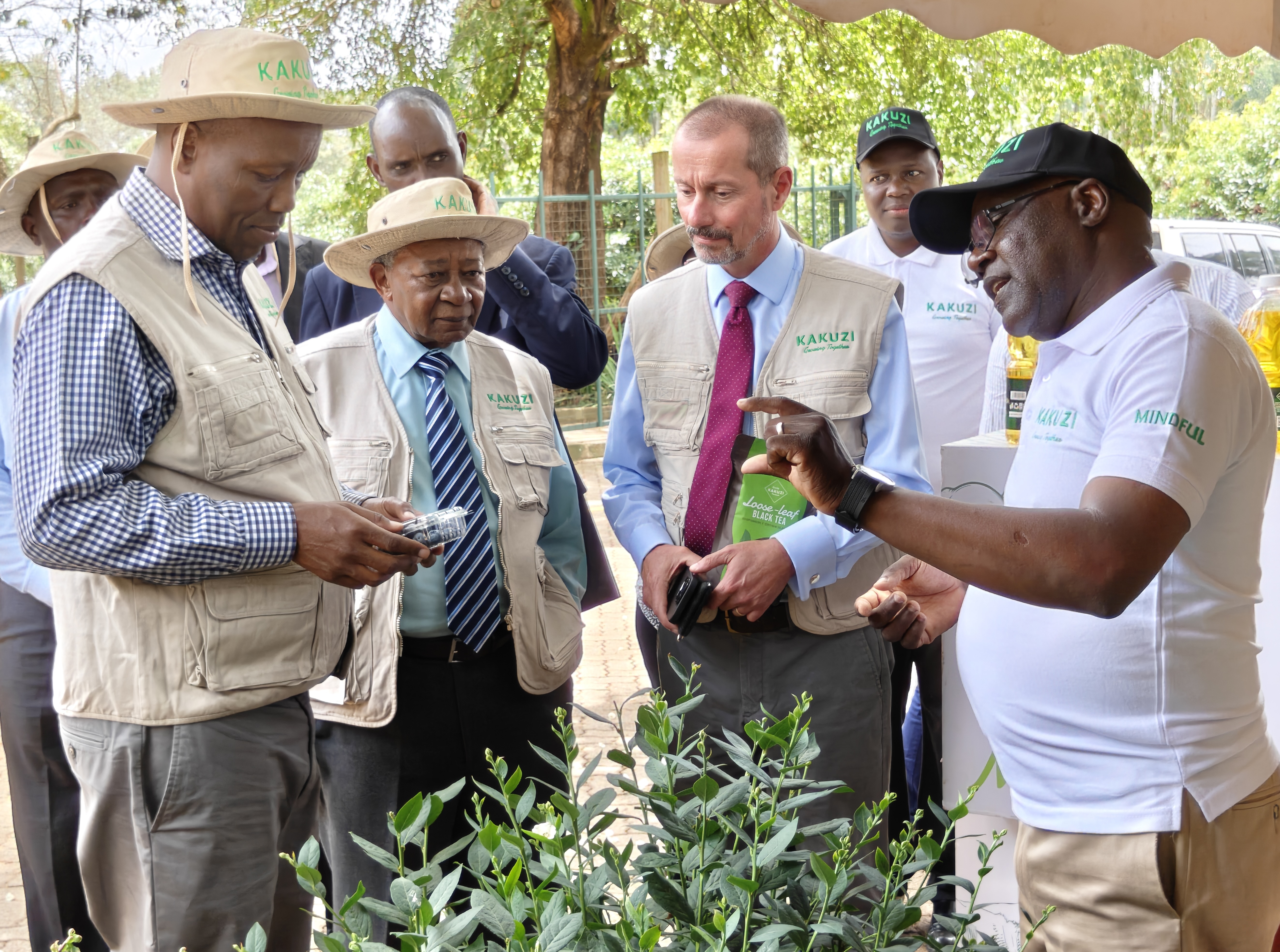 Kakuzi share price surges as profits soar by 200%