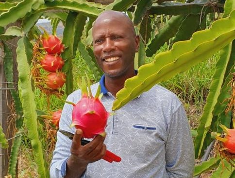 Dragon fruit pioneer: I waited for 8 years for my first harvest