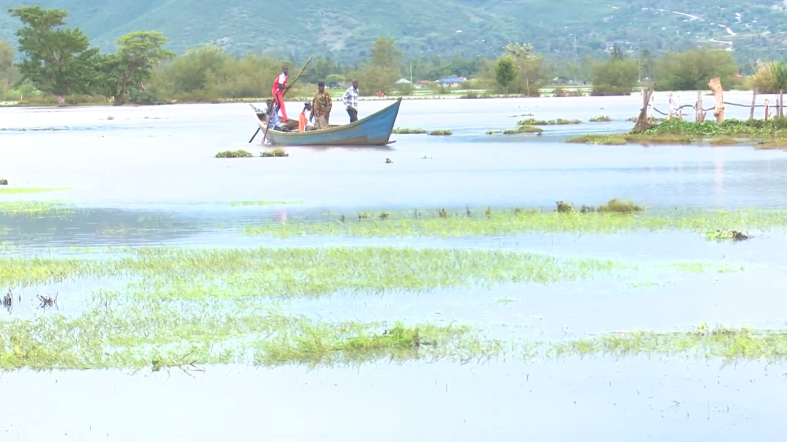 Boats replace cars as floods displace families