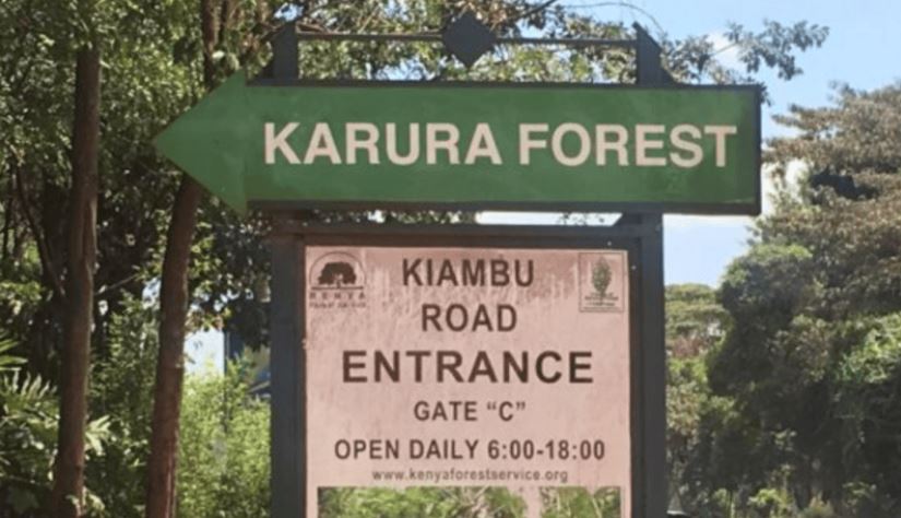 OPINION: Sounding the alarm - Karura Forest is again under threat