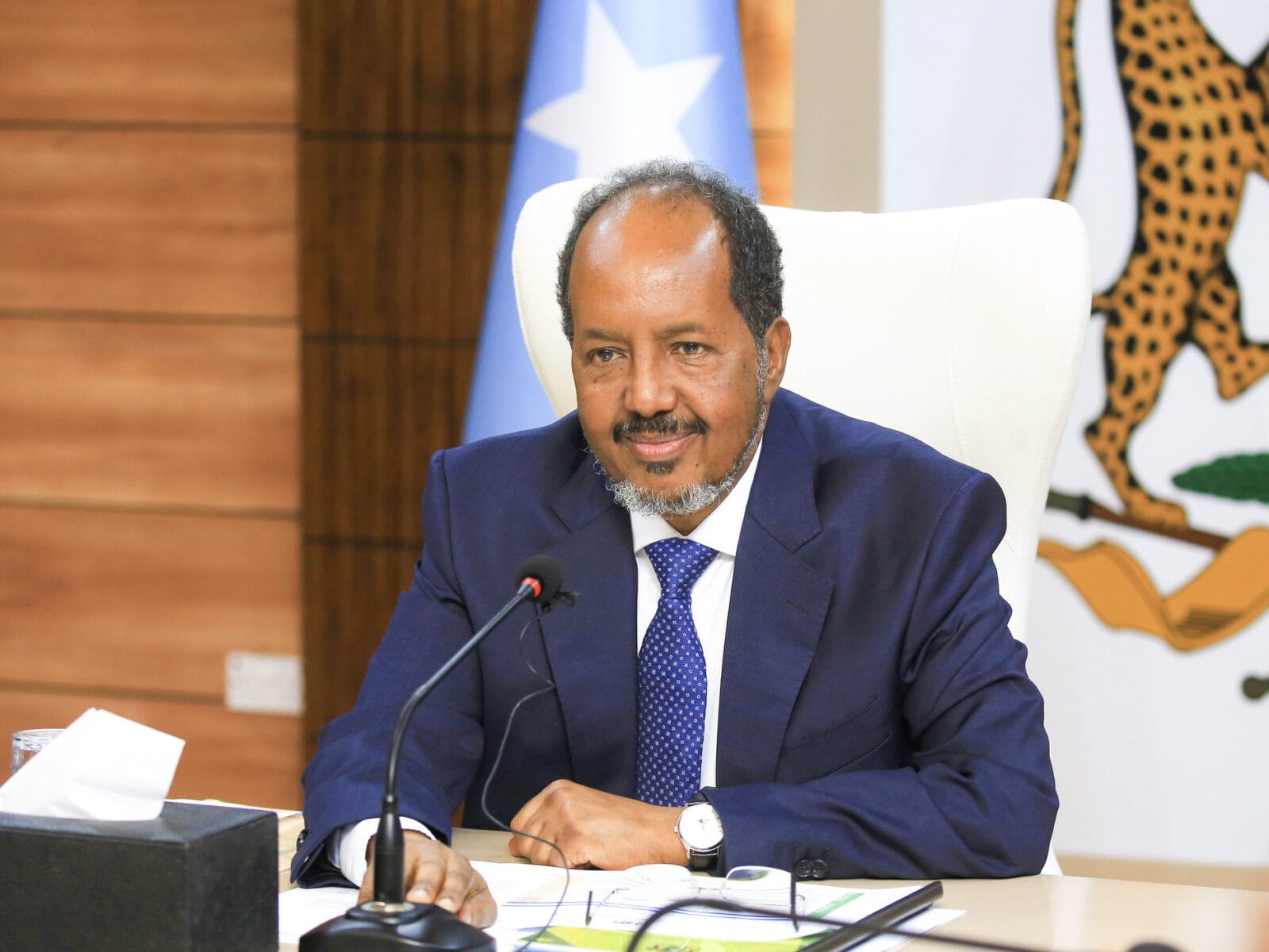 Somalia’s future in focus as Mohamud champions landmark constitution