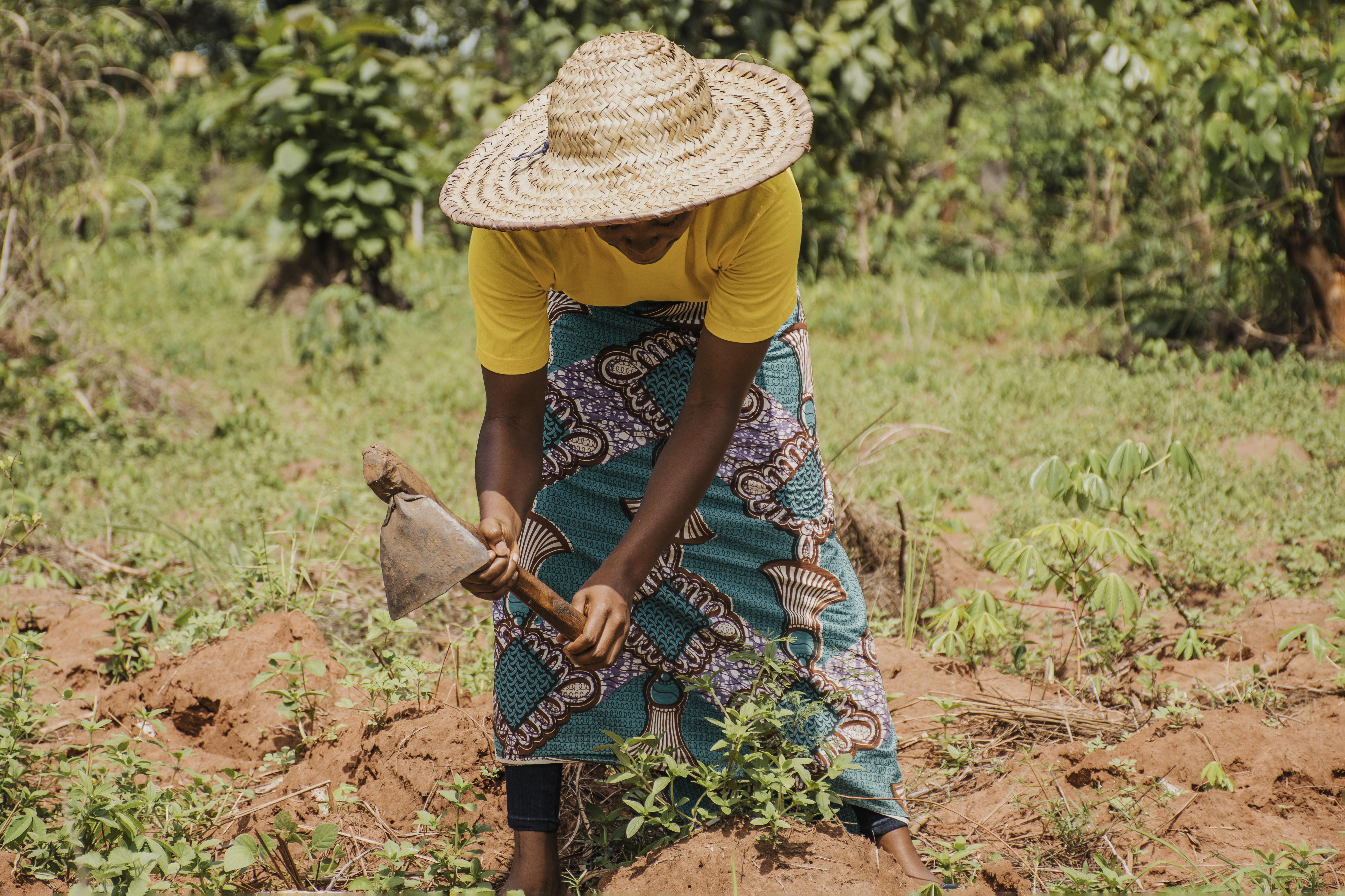 Report: Women paying price of climate change through unpaid labour