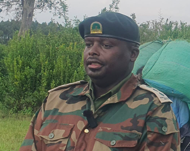 Siongiroi’s Sh40 million shield: The fence saving Bomet forest
