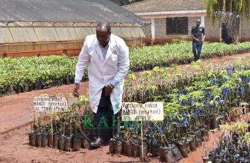 (Page 21 main) Expo to showcase improved seeds, new farming technologies in Murang’a