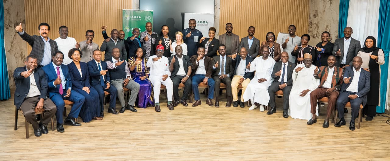 Africa urged to move from strategy to action in farming reform