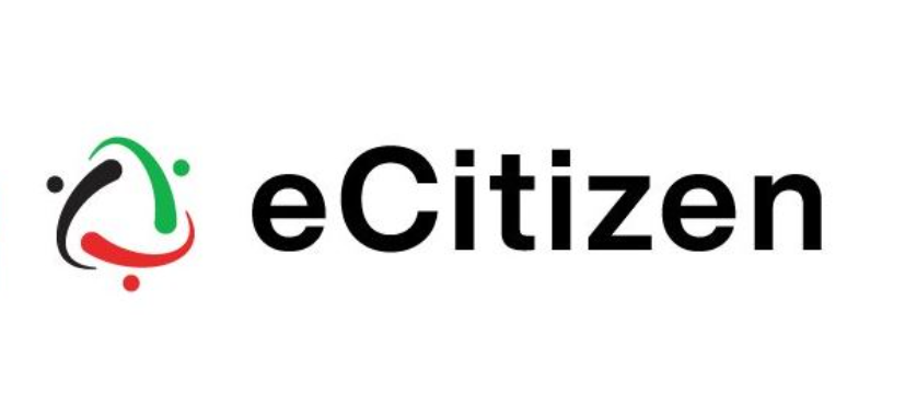 How state burned Sh946m on idle services in eCitizen