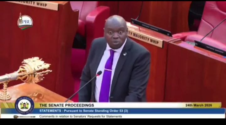 Kericho mass grave sparks uproar in Senate