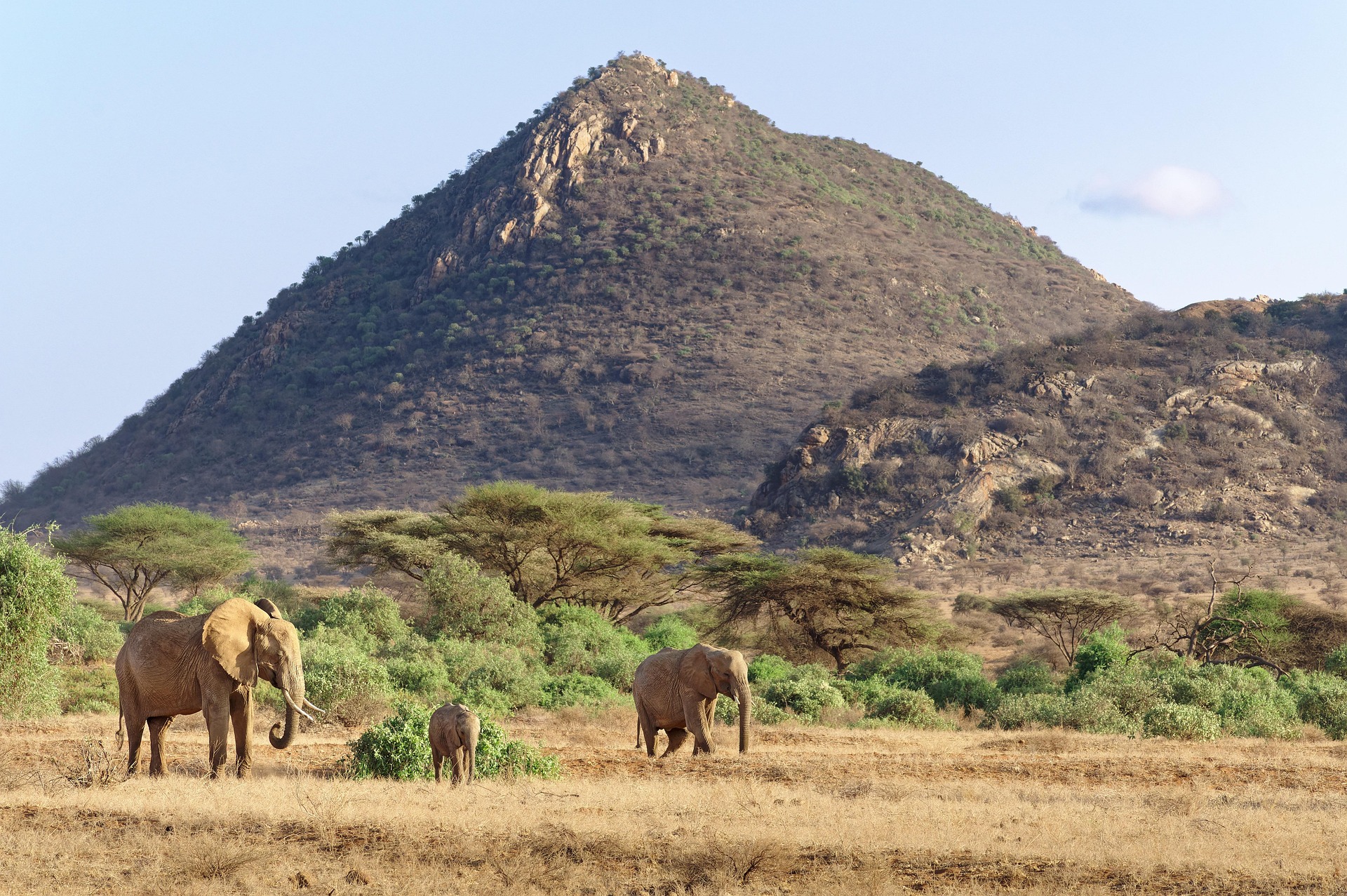 OUT AND ABOUT: Samburu: A window into beauty of northern Kenya