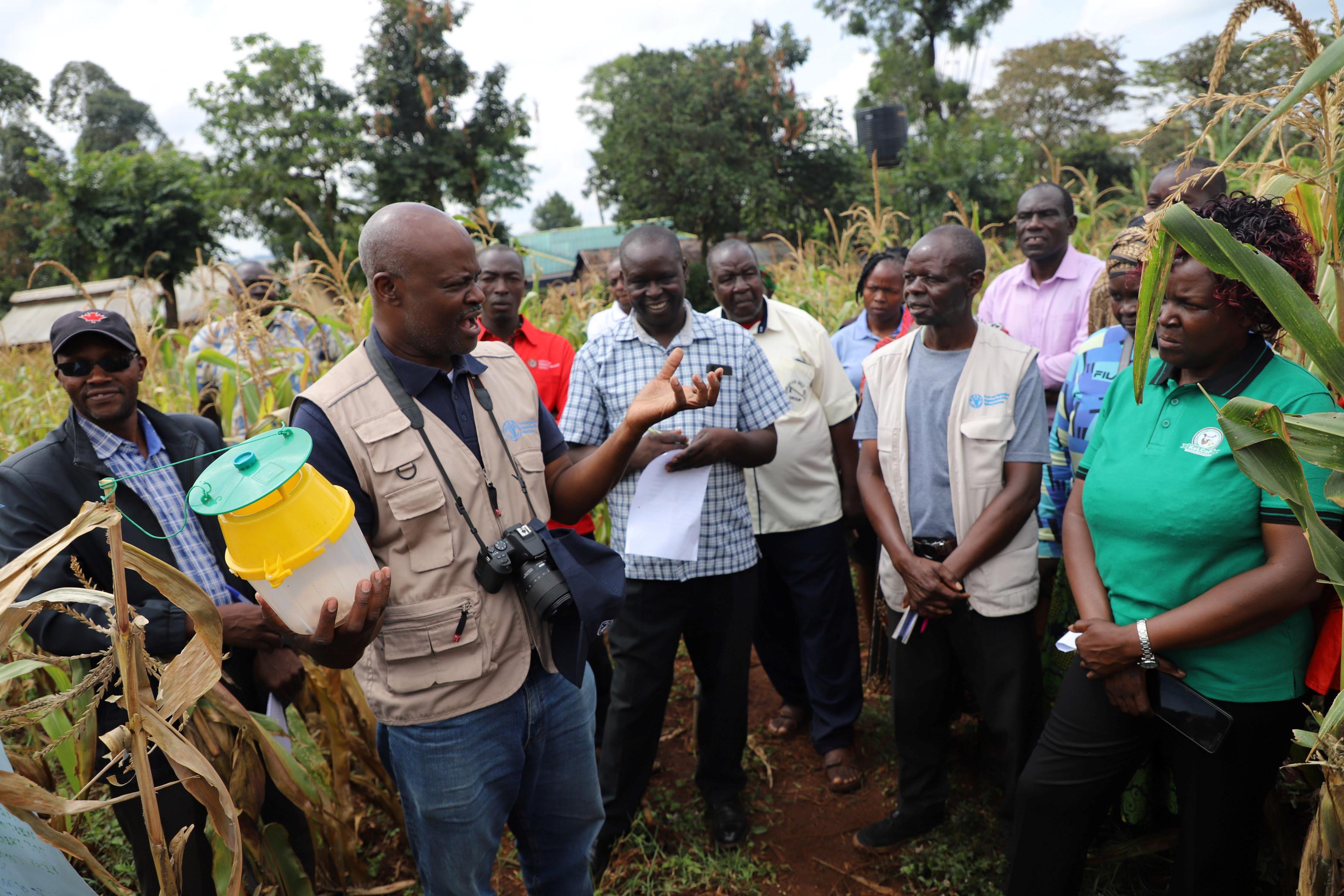 The field schools where farmers outsmart pests, boost harvests