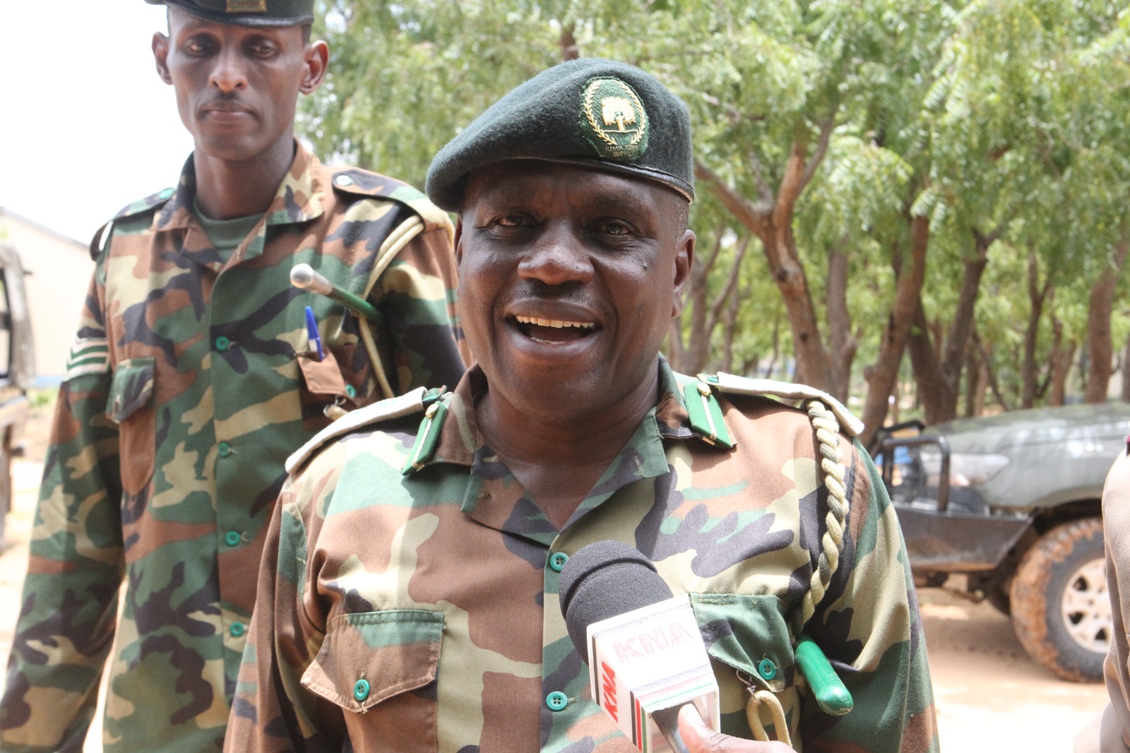 Cash in on trees: Kenyans urged to tap forestry opportunities