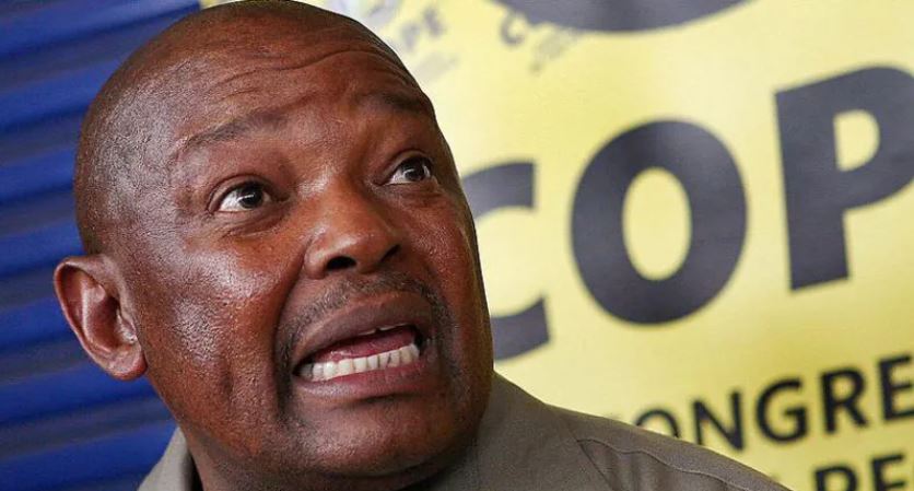 South Africa's long-serving former defence minister dies