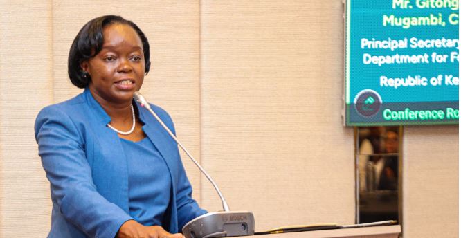 CS: Karura land cleared for temporary NYS housing