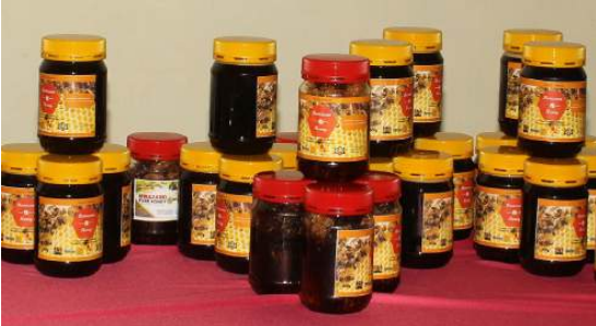 Beekeeping unshackles Kwale PWDs from chains of poverty