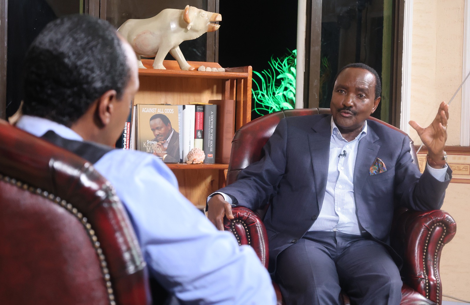 Kalonzo: I'll back joint 2027 opposition flagbearer