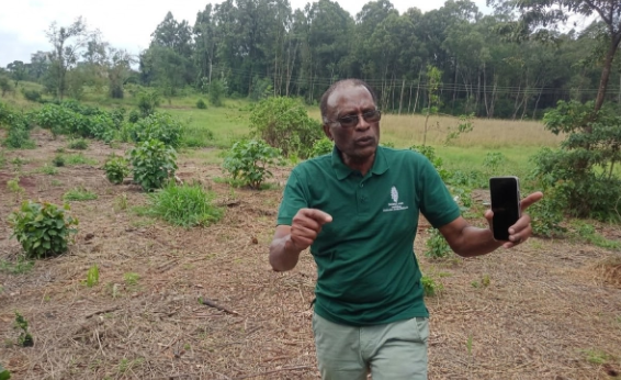 FKF urges consultation with CFA before Karura Forest projects