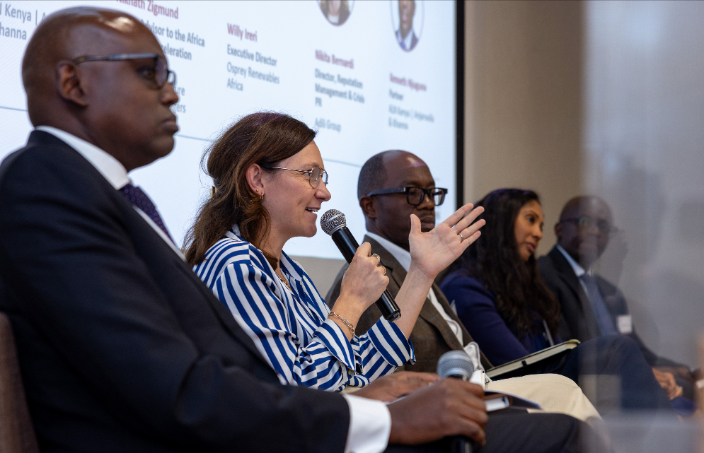 BERNARDI: Aligning law, risk & community for Africa’s project success