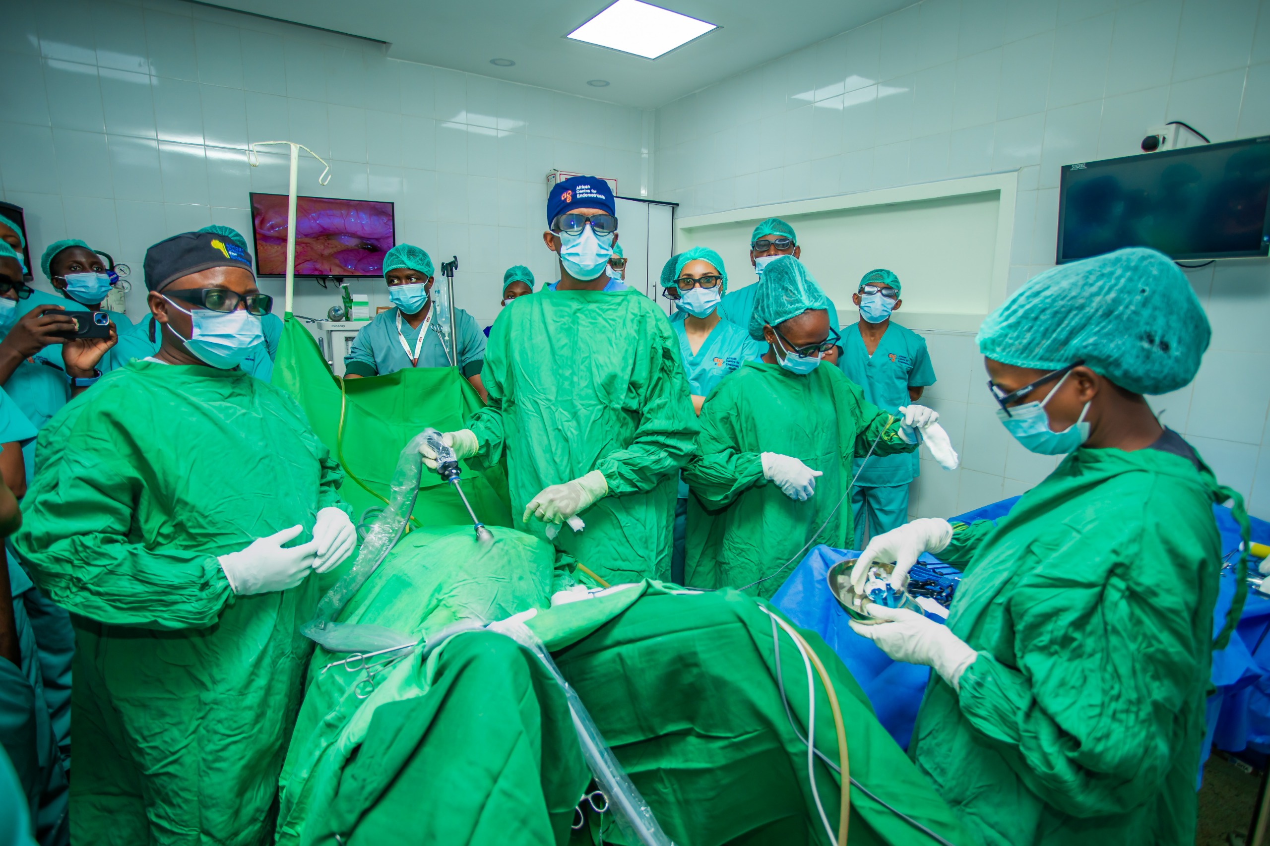 Endometriosis: The hidden burden of women’s health