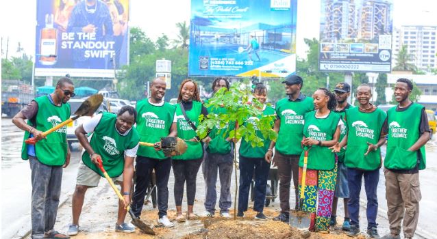 Mombasa turns to indigenous trees to cool city