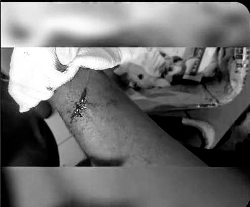 DJ Mo injured in panga attack near Kenol, Size 8 says