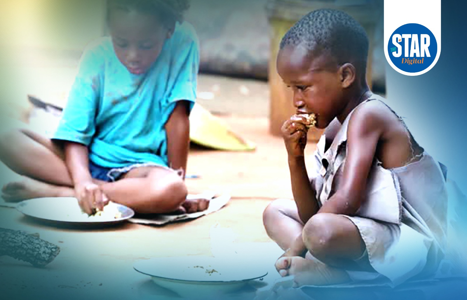 Prevalence of undernourished by country