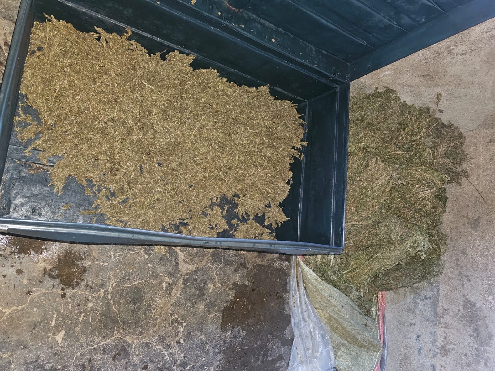 Six arrested as Nacada dismantles twin narcotics dens in Trans Nzoia