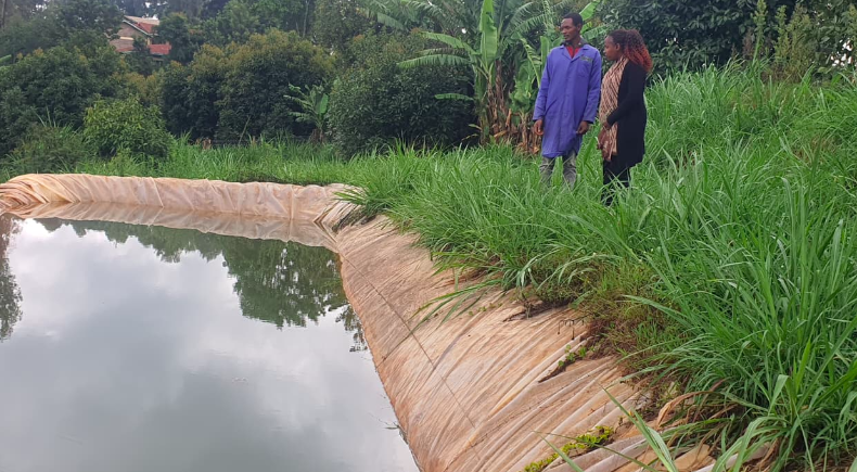 Turning soil into success: Maina’s story of farming innovation