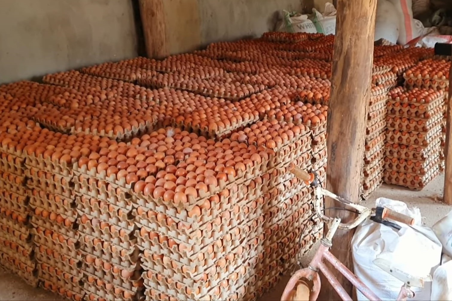 Egg prices surge amid high feed costs and cold weather