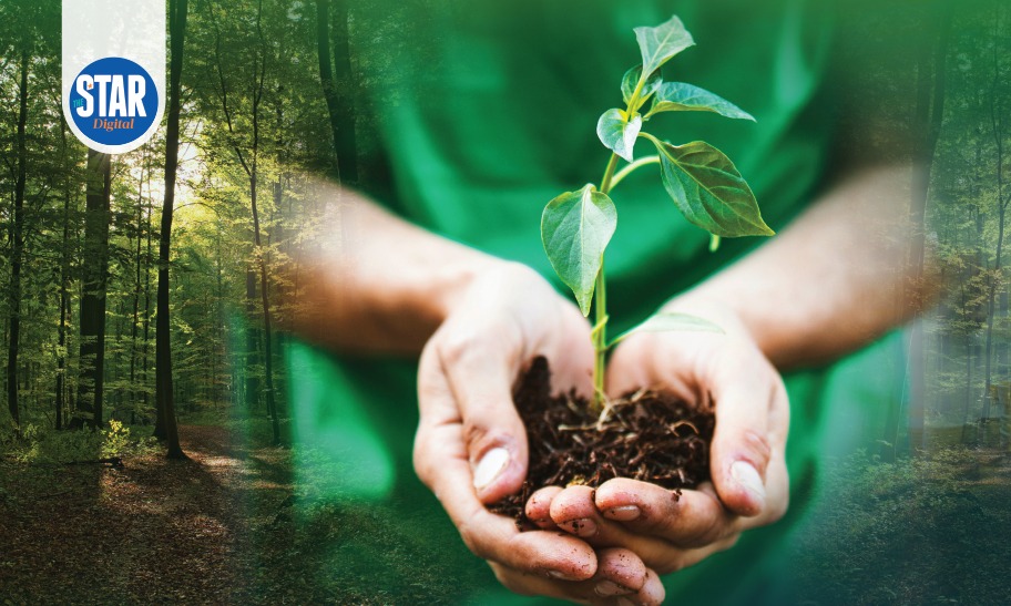What to Know About International Day of Forests