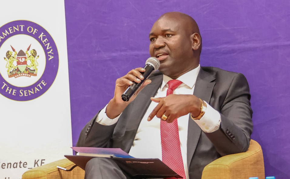 PS: Kenya closer to global teacher-learner ratio