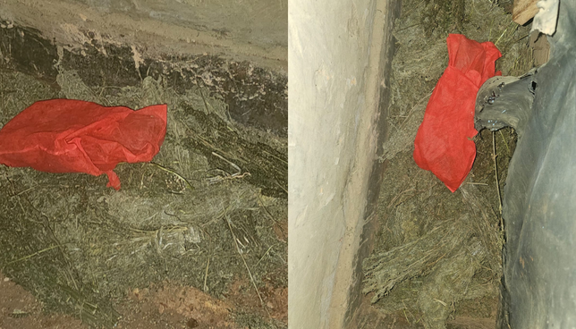 NACADA Recovers Sack of Cannabis in Kisii Raid as Notorious Suspect Escapes