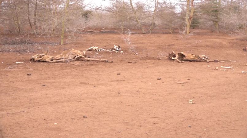 OSMAN: Kenya’s “angels” and private networks holding Horn of Africa