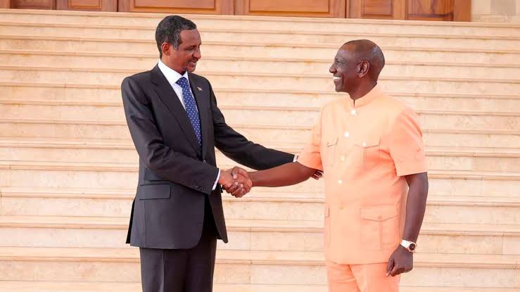 Rights group calls for action on Kenya over RSF passports