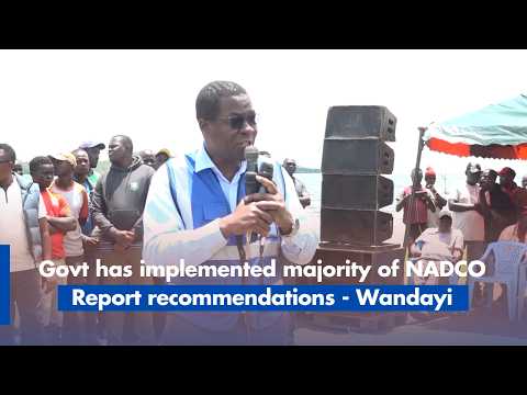 Govt has implemented majority of NADCO Report recommendations - Wandayi