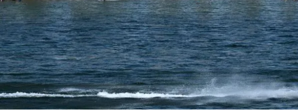Man drowns in Colorado River after jumping off boat to retrieve his hat