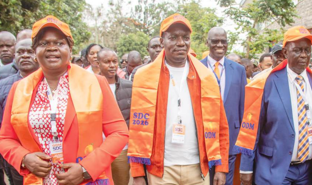 KANYADUDI: Open resistance to ODM zoning demand a warning to party leaders