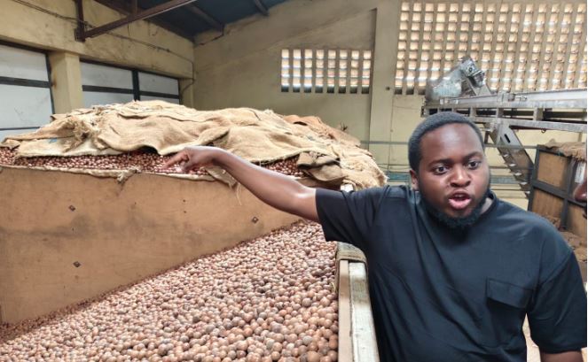 Traders: Raw nuts export ban could lock sector out of Chinese market