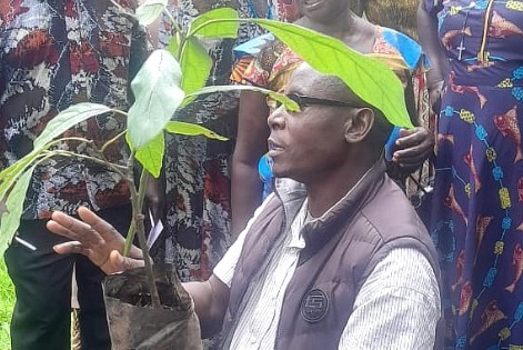 Teso retirees cultivate wealth through organic farming
