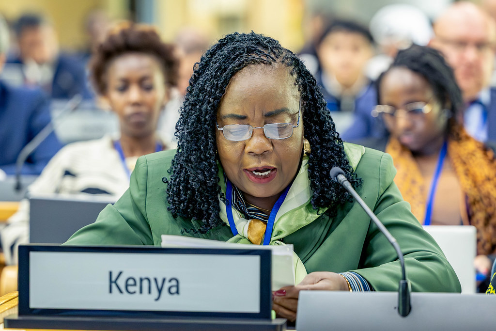 Ida pushes for tech transfer at UNEP meet