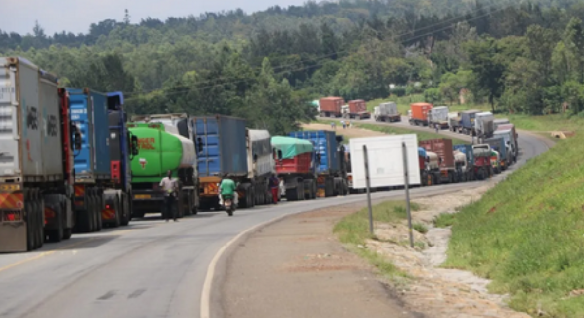 Kenya losing up to 8% high-value transit cargo year-on-year – state