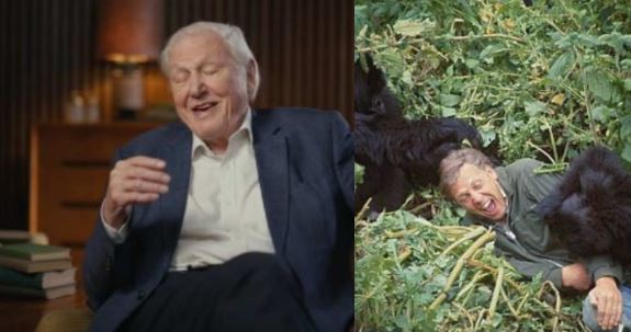 When Attenborough met gorillas - behind iconic moment