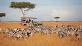Local visitors rally tourism revenue to Sh500 billion