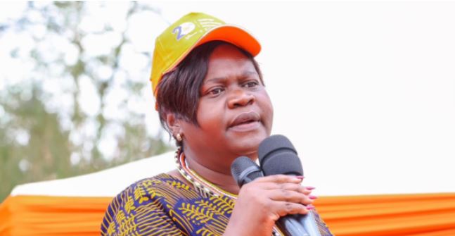 Inside ODM turmoil over UDA’s expansion
