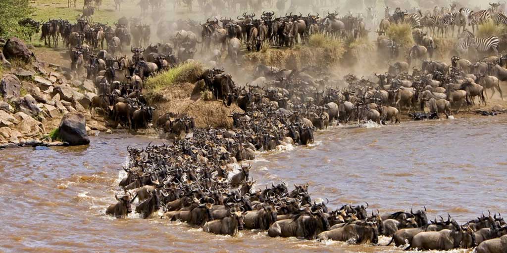 No hostage situation in Maasai Mara, tourism regulator says