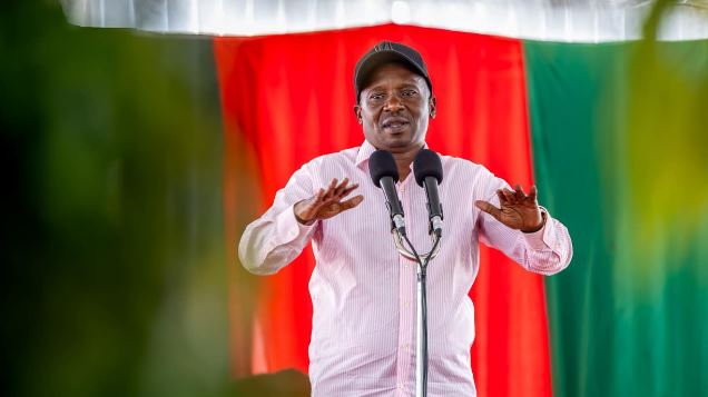 DP to Mt Kenya: Why we must back Ruto reelection