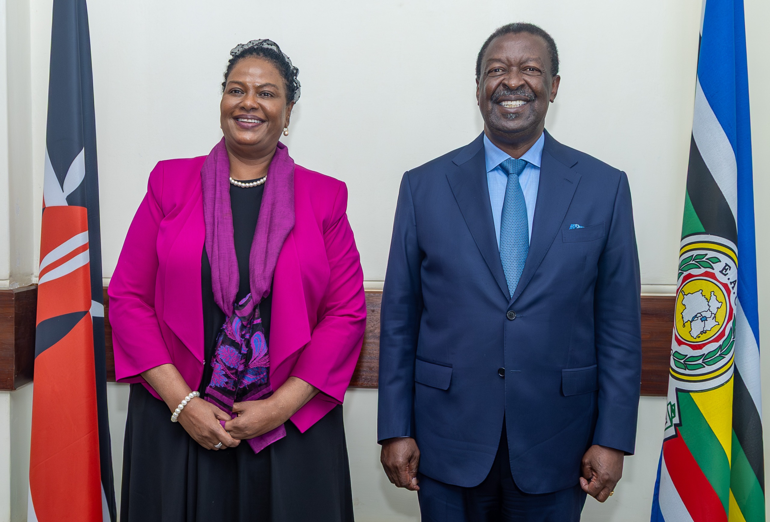 Set up to fail? Njoki Ndung’u backed for ICC judge despite LSK warning