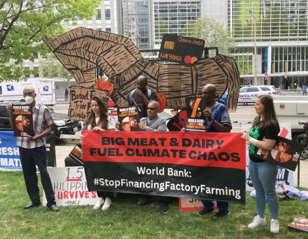 Calls grow for World Bank group to end factory farming financing