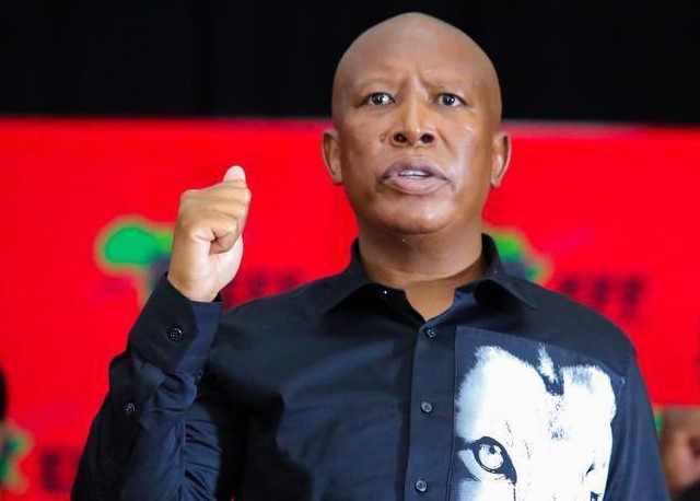 What next for Julius Malema after his five-year prison sentence?