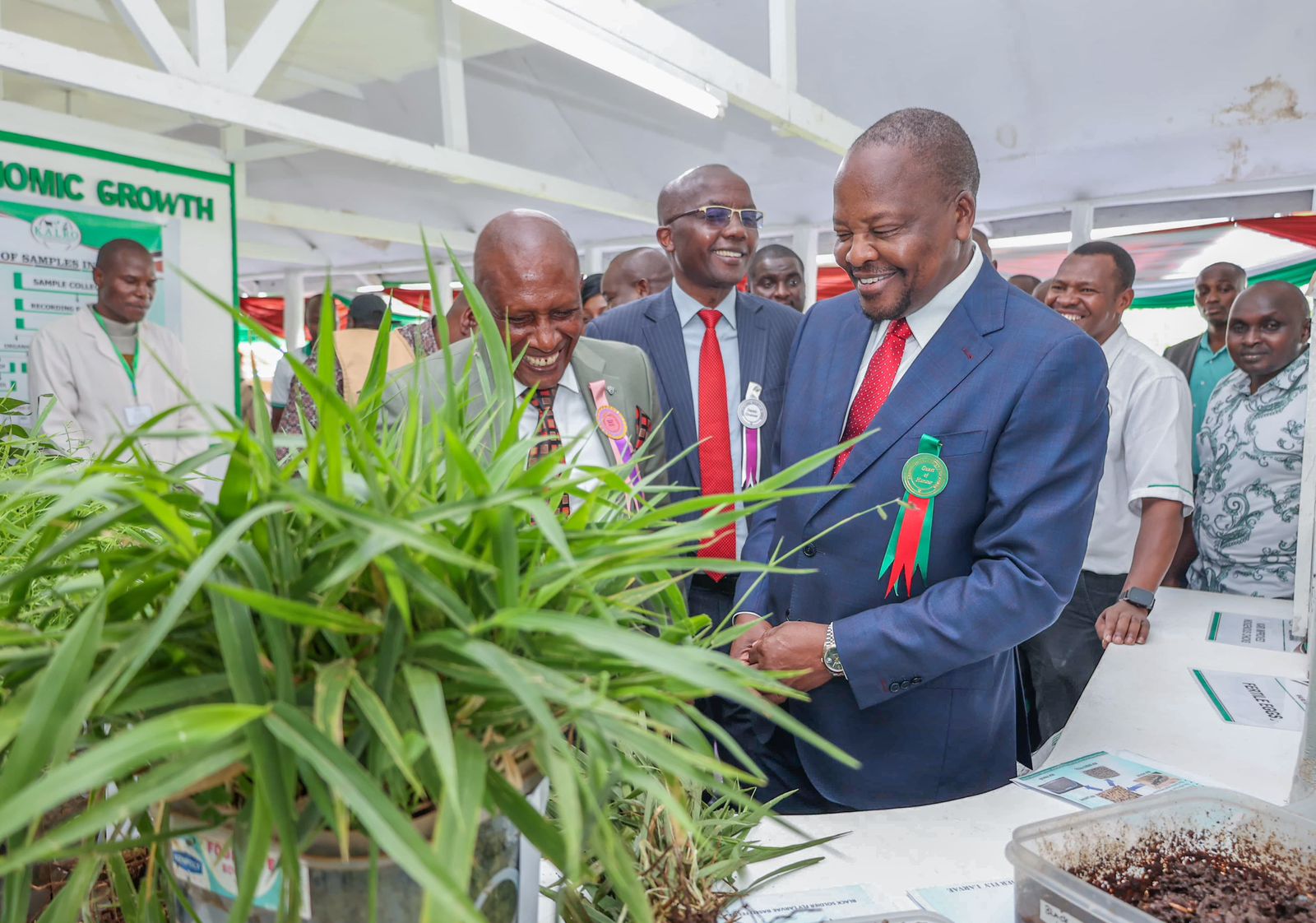 Kagwe pushes food import cuts, backs farming