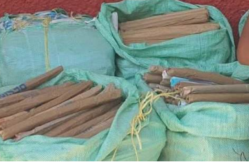 Bhang tops drug seizures as Kenya remains a key transit point for narcotics