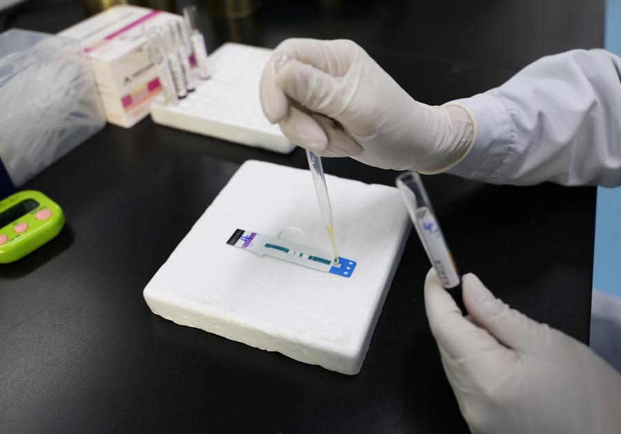 Man declared HIV-free after rare transplant